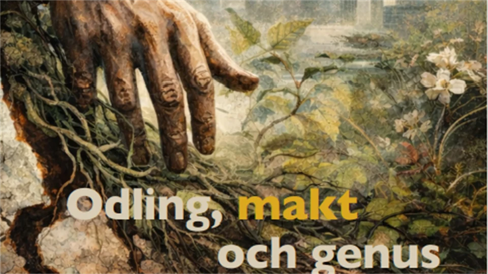 Illustrerat bokomslag 