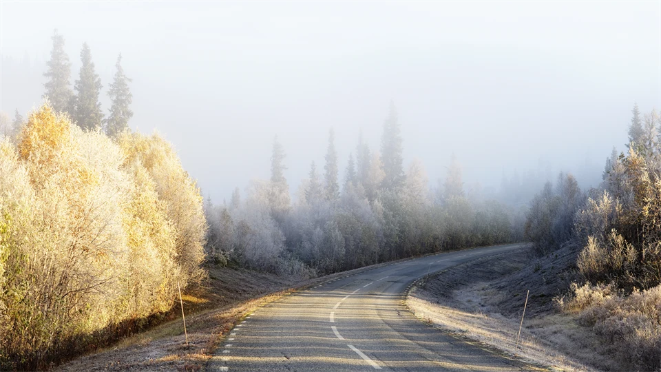 Höstväg i norra Sverige
