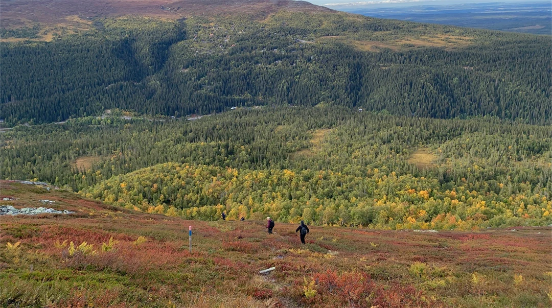 Fjällvandring i Bydalen