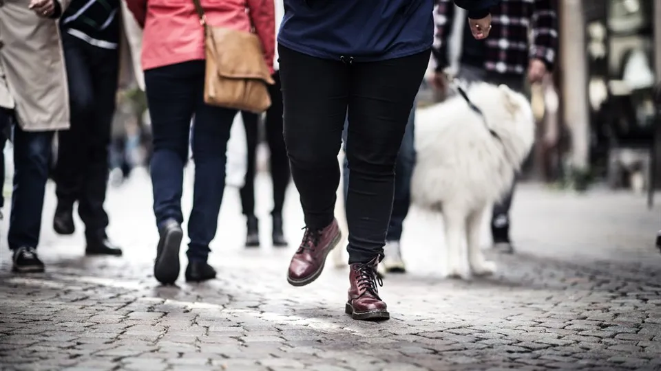 Människor på en gata. Samhälle.