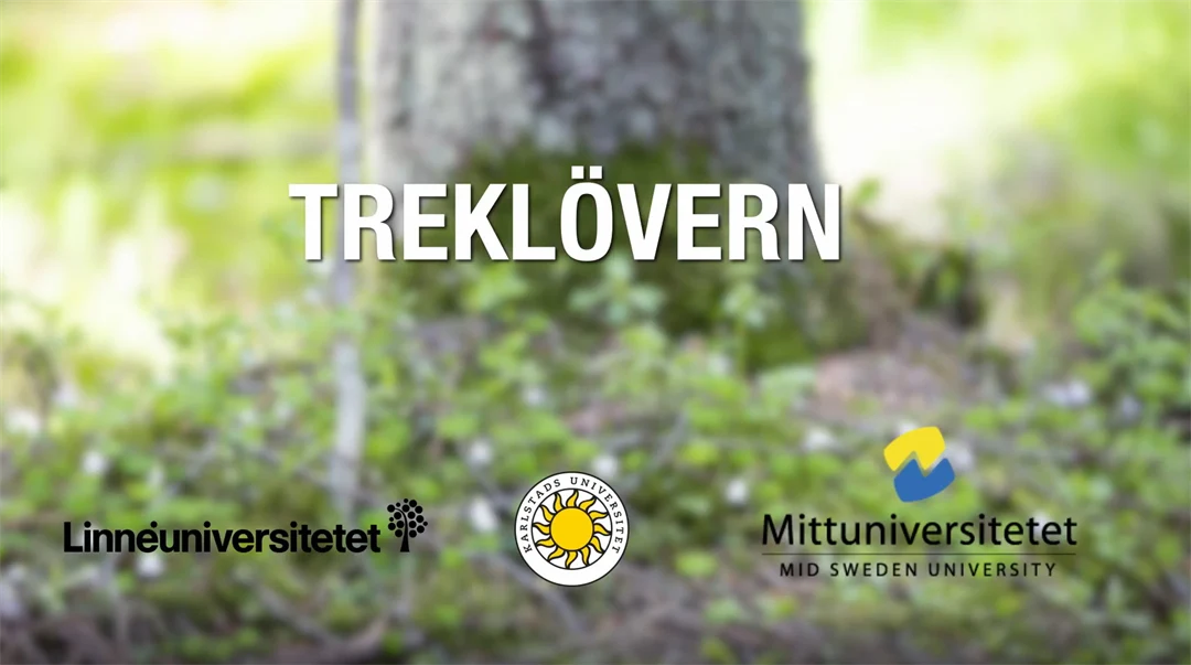 bild med text Treklövern med en gräsmatta och trädstam i bakgrunder, tre logotyper i botten av bilden: Linneuniversitetet, Karlstaduniversitet, Mittuniversitetet