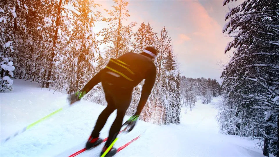 man åker längdskidor i skog