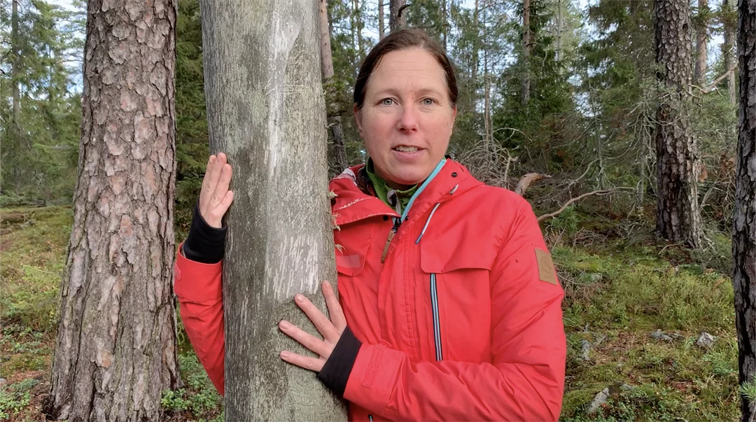 Jennie Sandström i skogen
