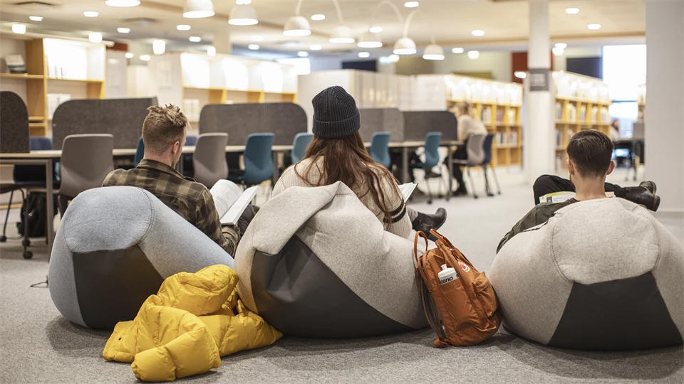 Students in library (Östersund)