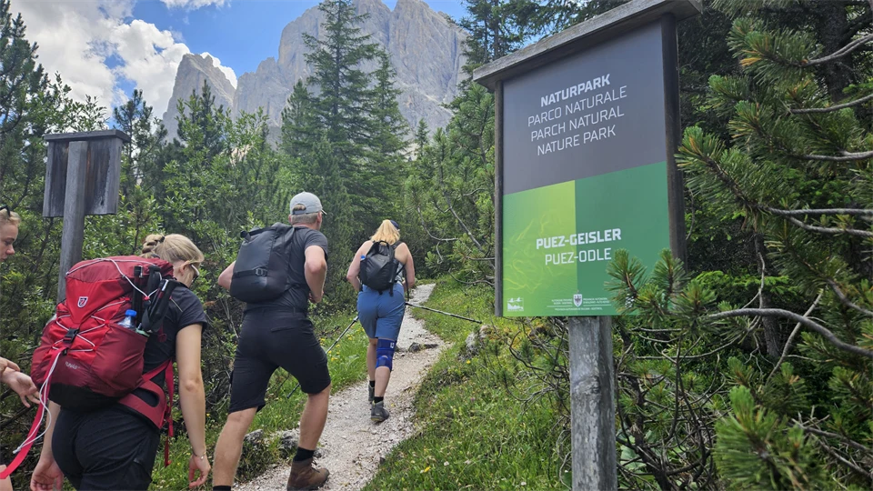 En grupp vandrare går längs en sommargrön led i bergskedjan Dolomiterna. De är iklädda fritidskläder.