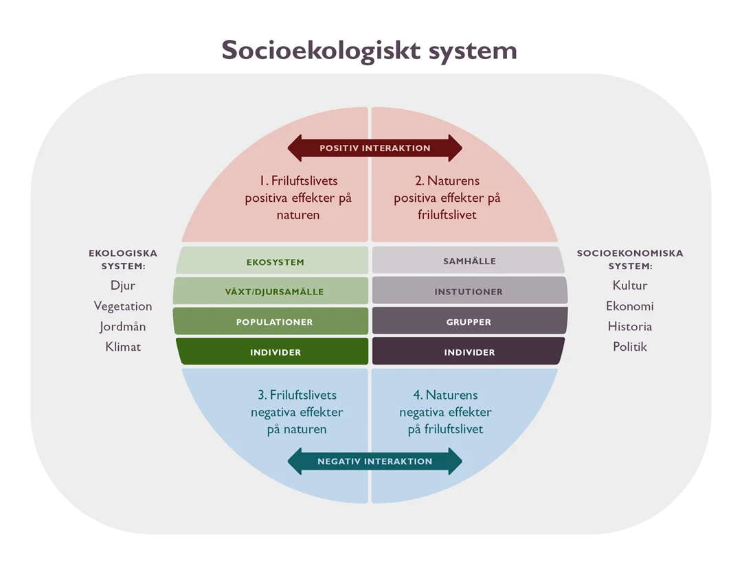En cirkel indelad i fält med olika färger.