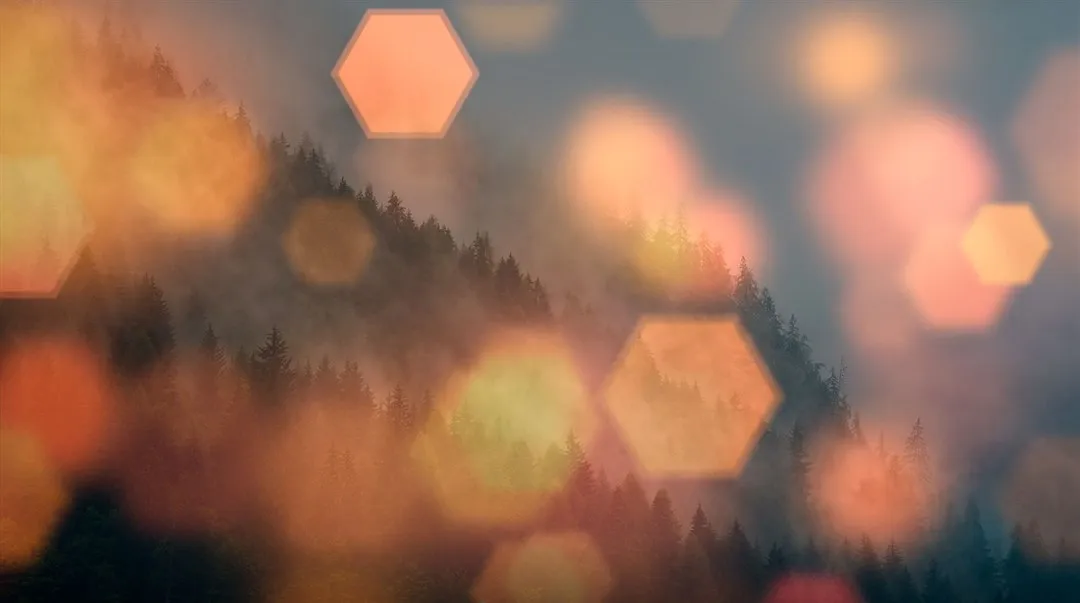 Skogens Värde Science & Innovation Day