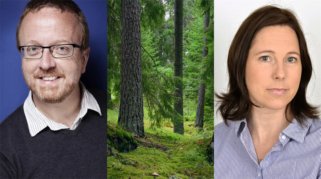 Kollage med Bengt-Gunnar Jonsson, en bild på barrskog och Jennie Sandström