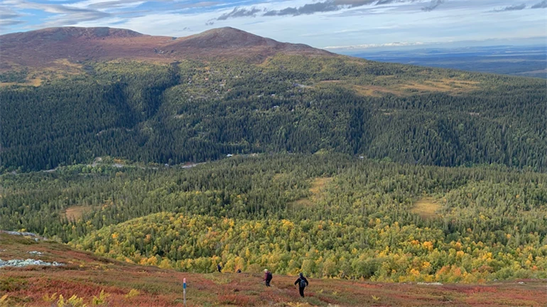 Fjällvandring i Bydalen