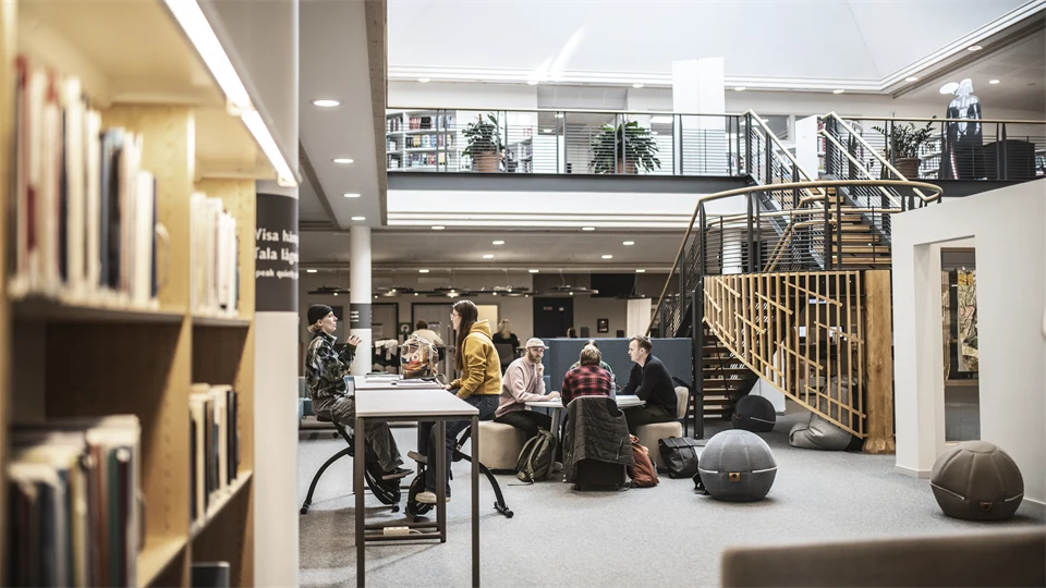 Studenter i campusmiljö.