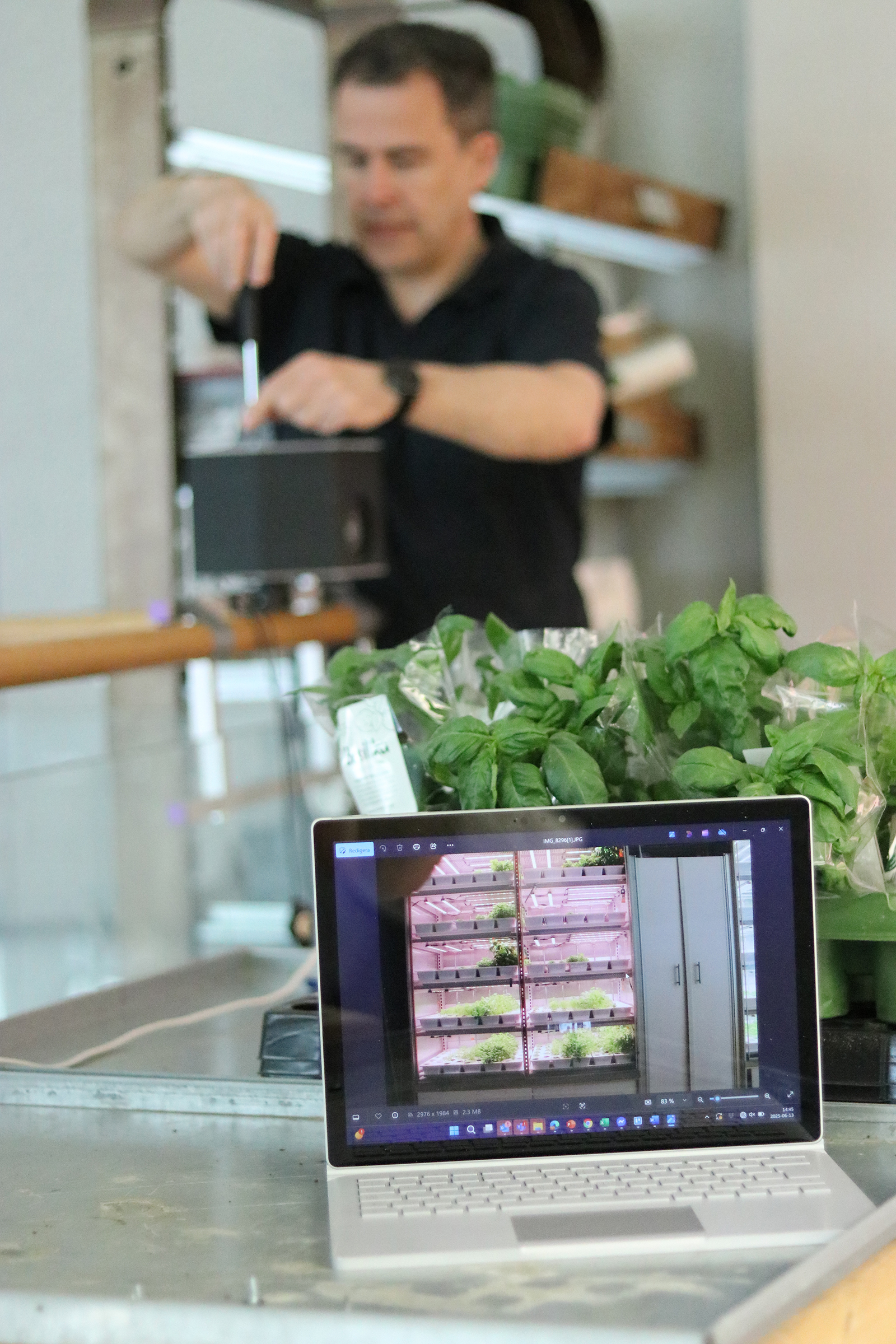 Kameror installeras för att övervaka kryddorna