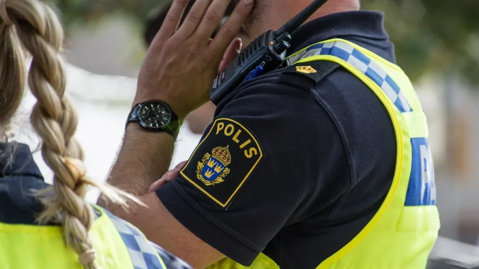 Polis
