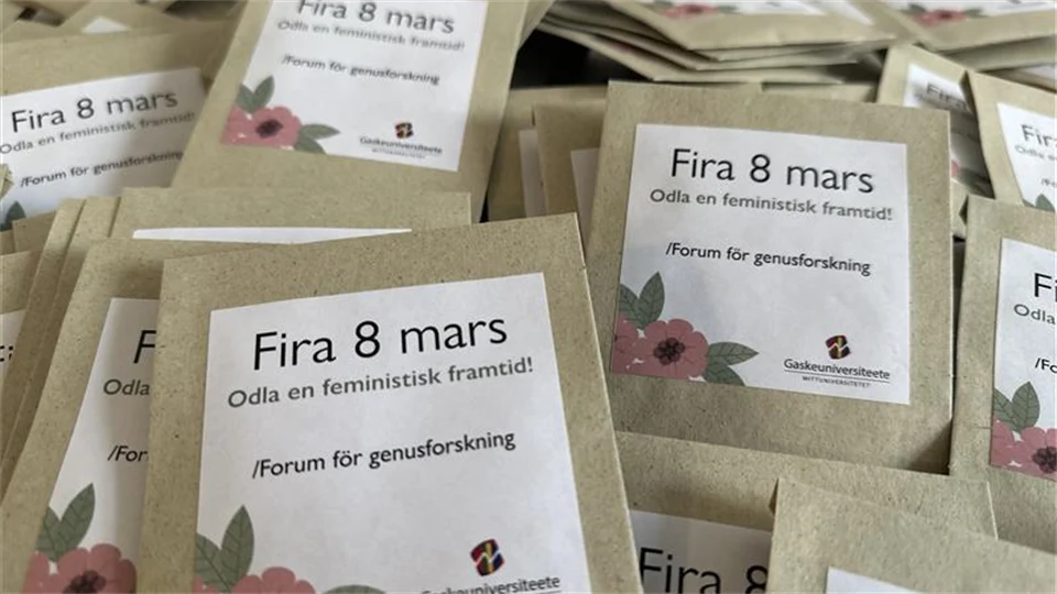 Flera bruna frö påsar