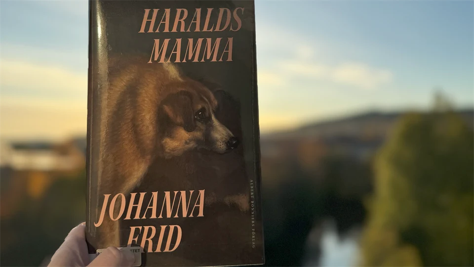 Bokomslag Haralds mamma