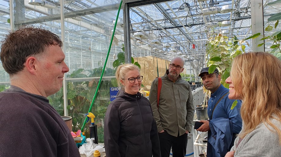 Fr.v. Christina Dahlström, Håkan Edlund, Alireza Eivazi och Ida Svanedal