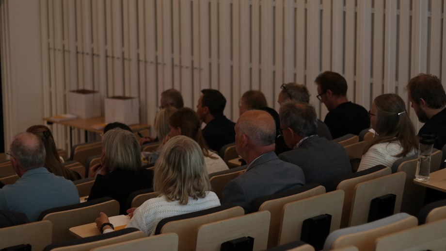 Malin Nejströms Lic