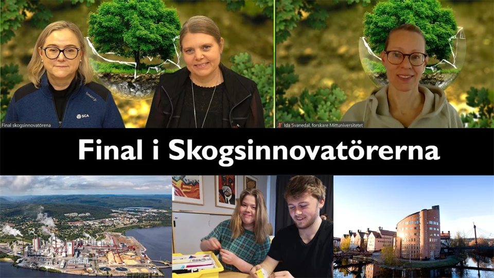 Juryn i Skogsinnovatörerna i en studio. 