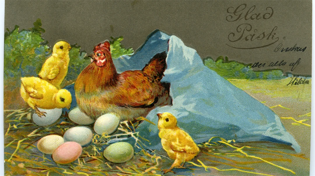 Brevkortsalbum nr 11