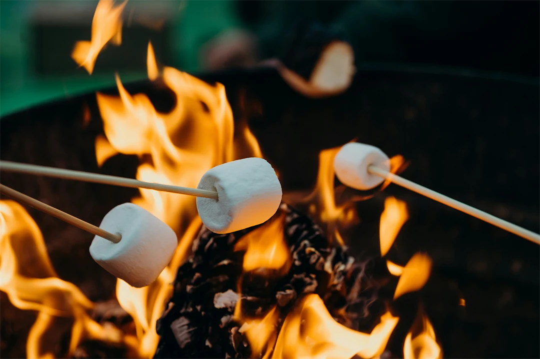 Lägereld med mashmallows som grillas i elden