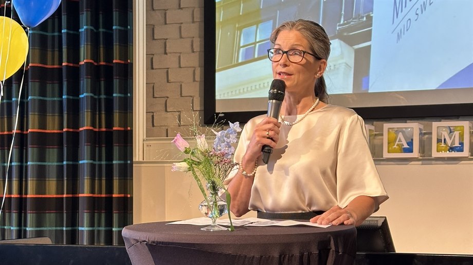 Sandra Wall-Reinius Deputy Dean Mid Sweden University..