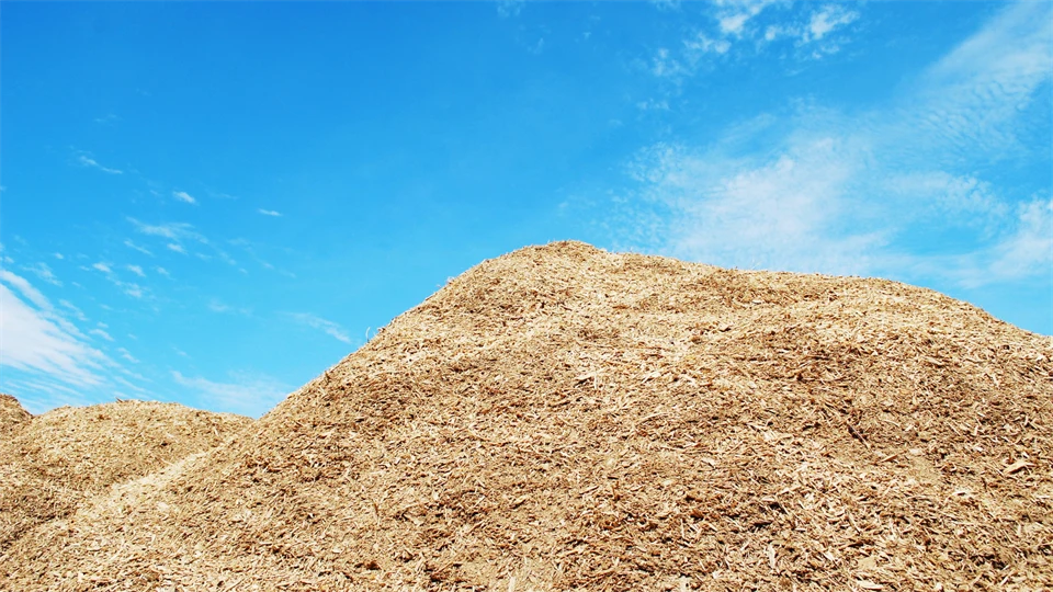 A pile of sawdust with a blue sky in the background.