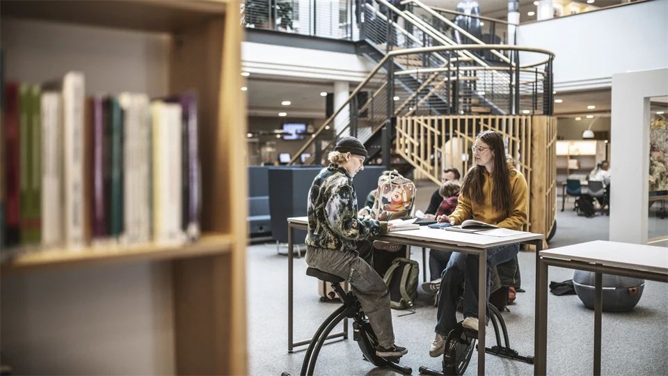 Studenter i campusmiljö.