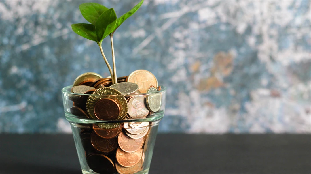 A plant that grows out of a glass with coins