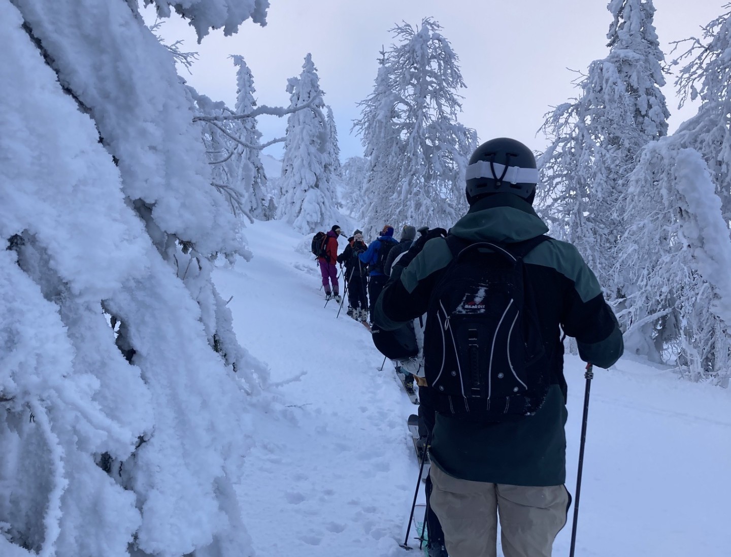 Skidåkare bland snötyngda träd
