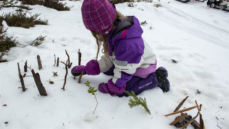I leken kan några pinnar bli giedtie / rengärde och gåetie / kåta. 