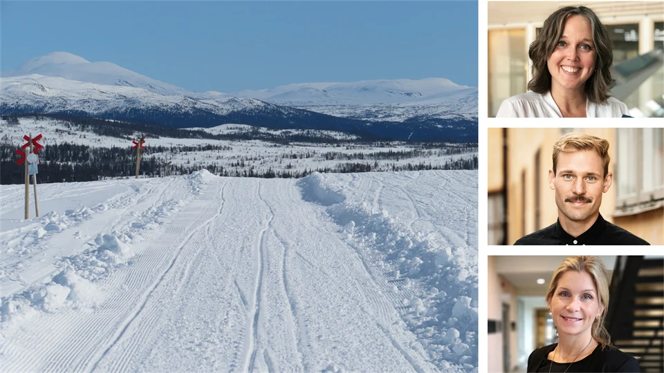 Kollage med fyra bilder: En bild med ett snötäckt fjällandskap med en skoterled och ledkryss, en kvinna med brunt hår och vit blus, en man med blont hår och svart skjorta och en kvinna med blont hår och svart blus. 