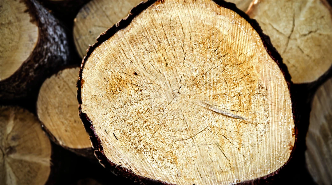 Logs.