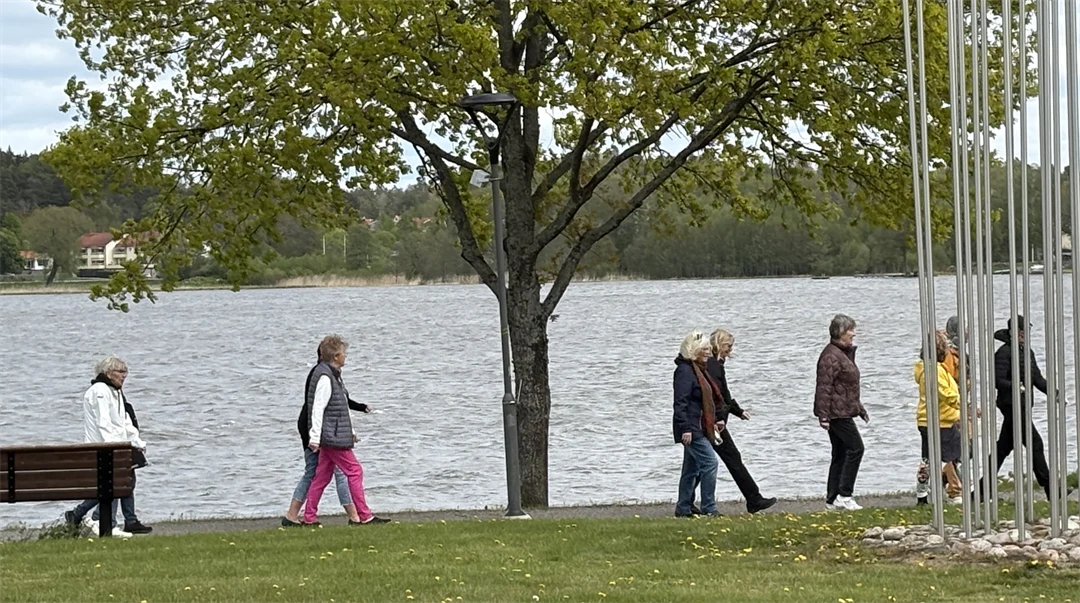 Ett antal damer som promenerar längs vattnet i Strängnäs. 