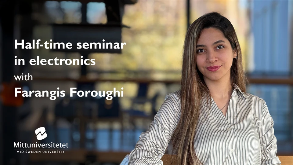 Half-time seminar in electronics with Farangis Foroughi