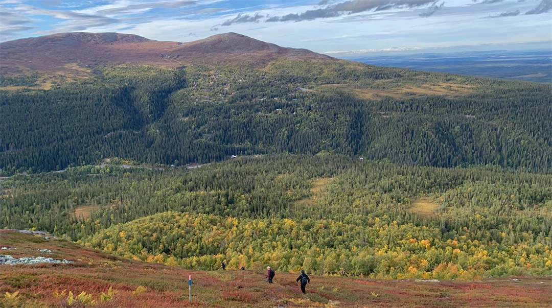 Fjällvandring i Bydalen