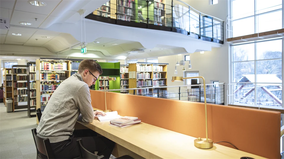 Studiesituation biblioteket Sundsvall 
