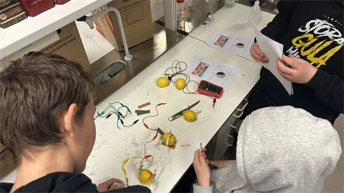 Barn som bygger ett citronbatteri