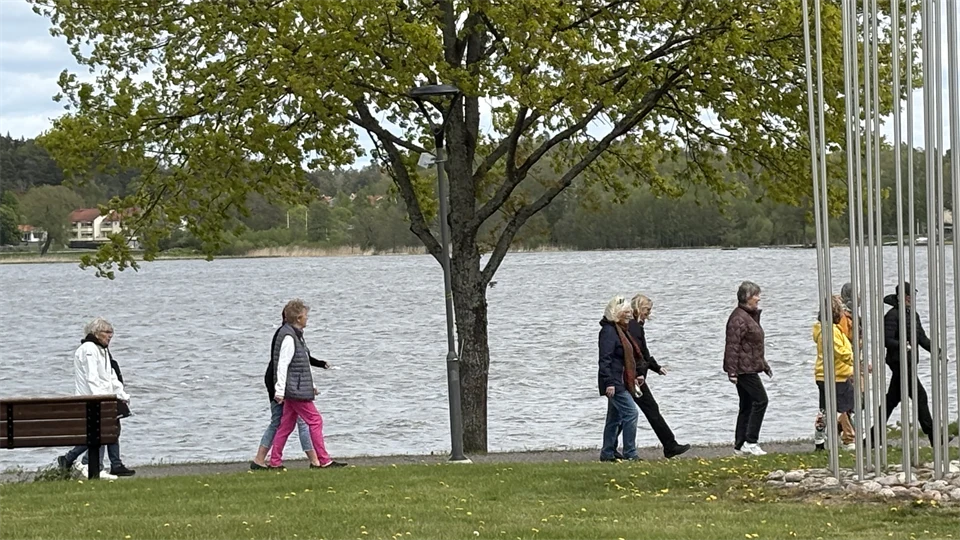 Ett antal damer som promenerar längs vattnet i Strängnäs. 