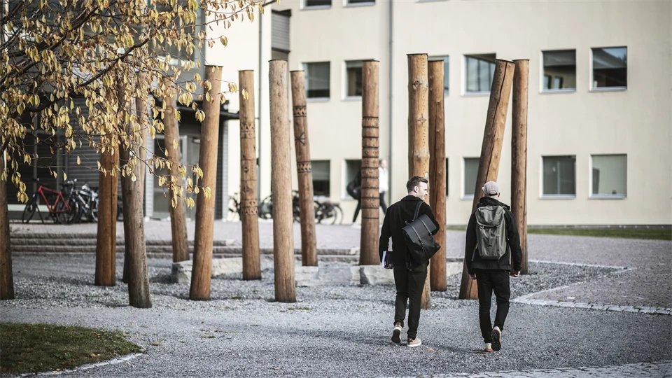 Studenter i campusmiljö.