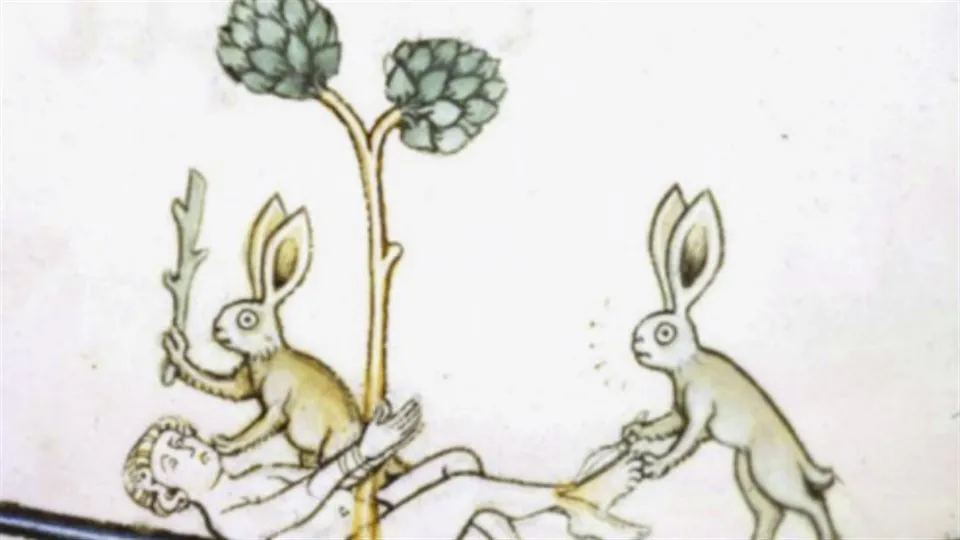 ekokritisk historia natur kaniner kanin