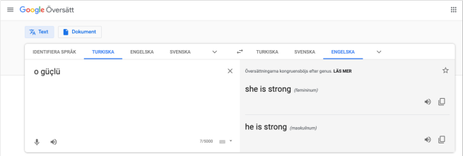 Google översätt AI
