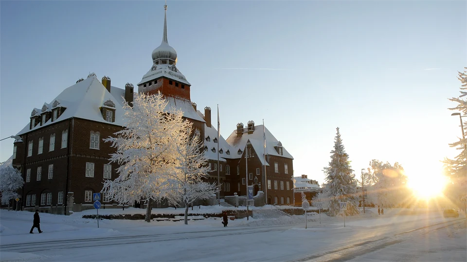 The town hall in Östersund, winter and backlight.
