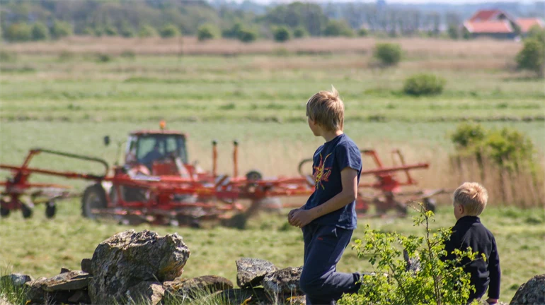 Bönder landsbygd åker