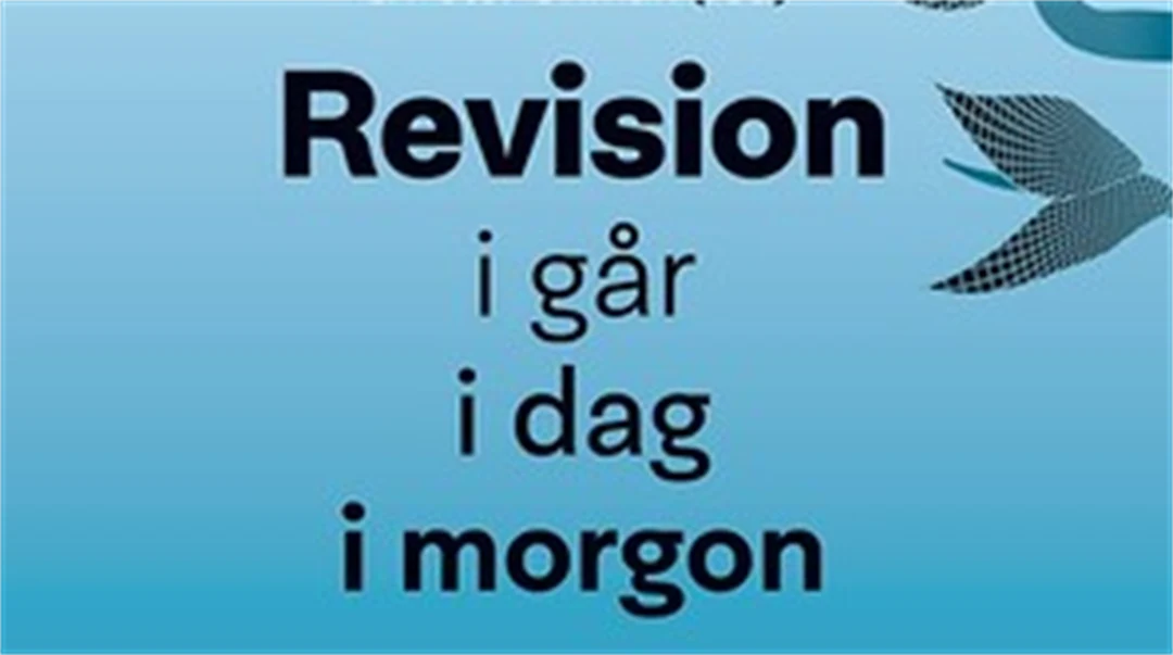 revision_bokomslag