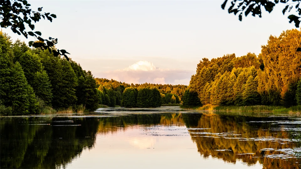Lugn flod omgiven av gröna skogar i solnedgångens sken.