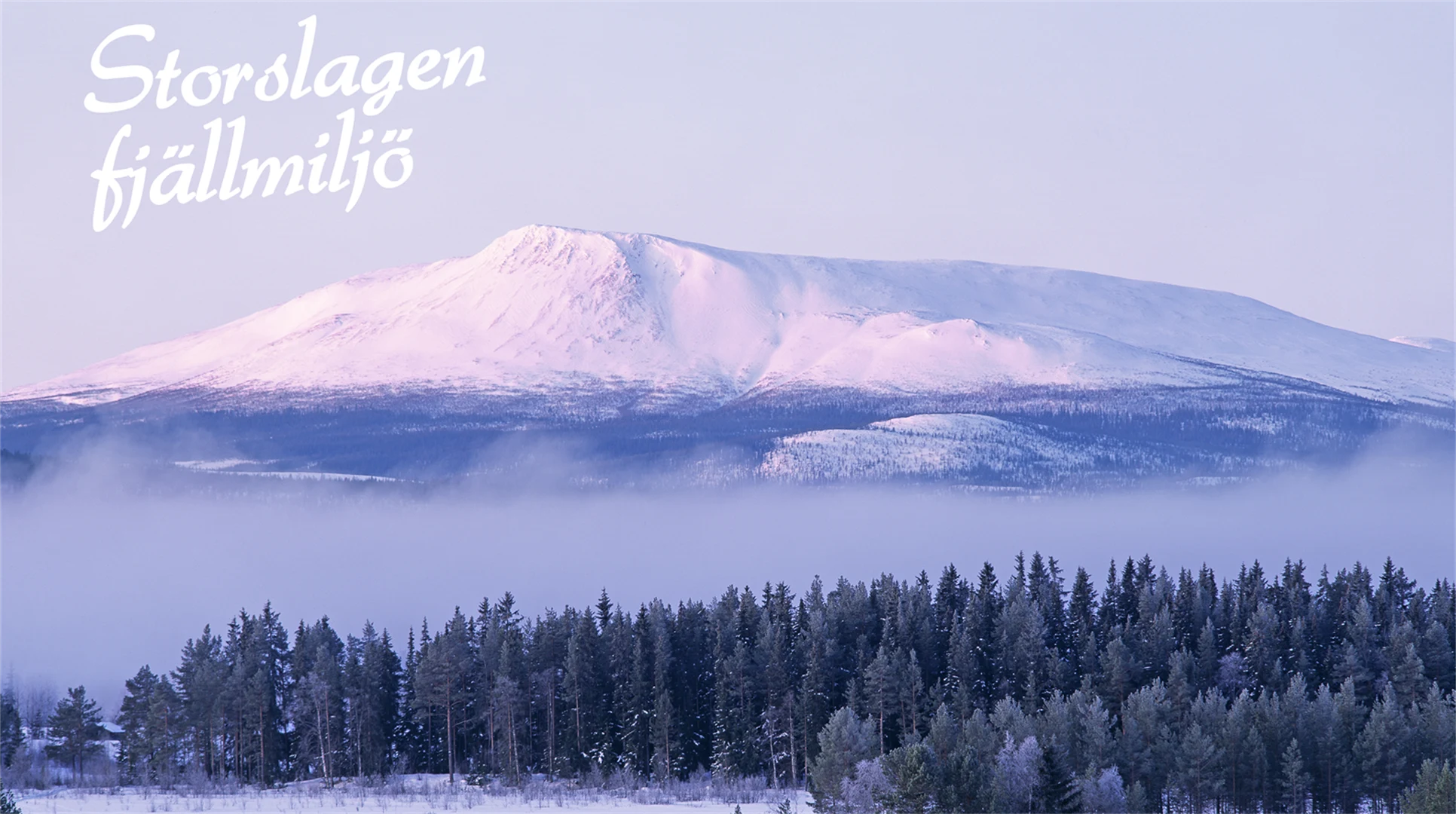 Storslagen Fjällmiljö profilbild