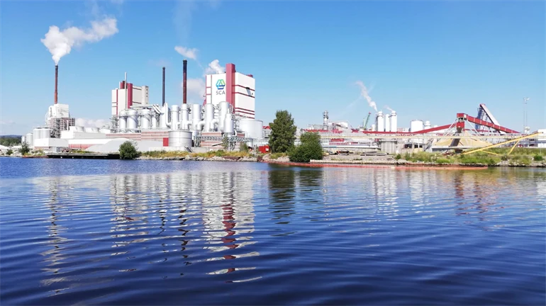 SCA plant by the water.