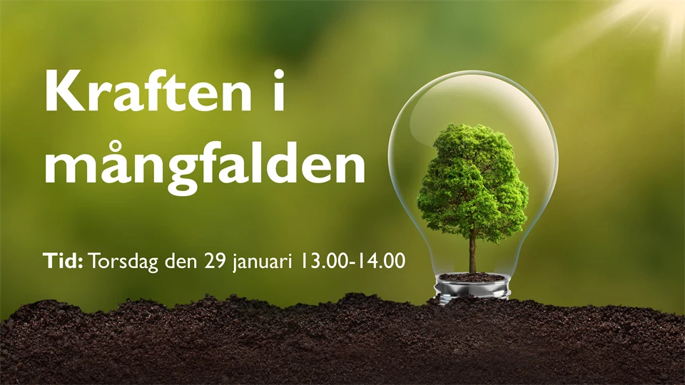 Kraften i mångfalden, HIPS-seminarium