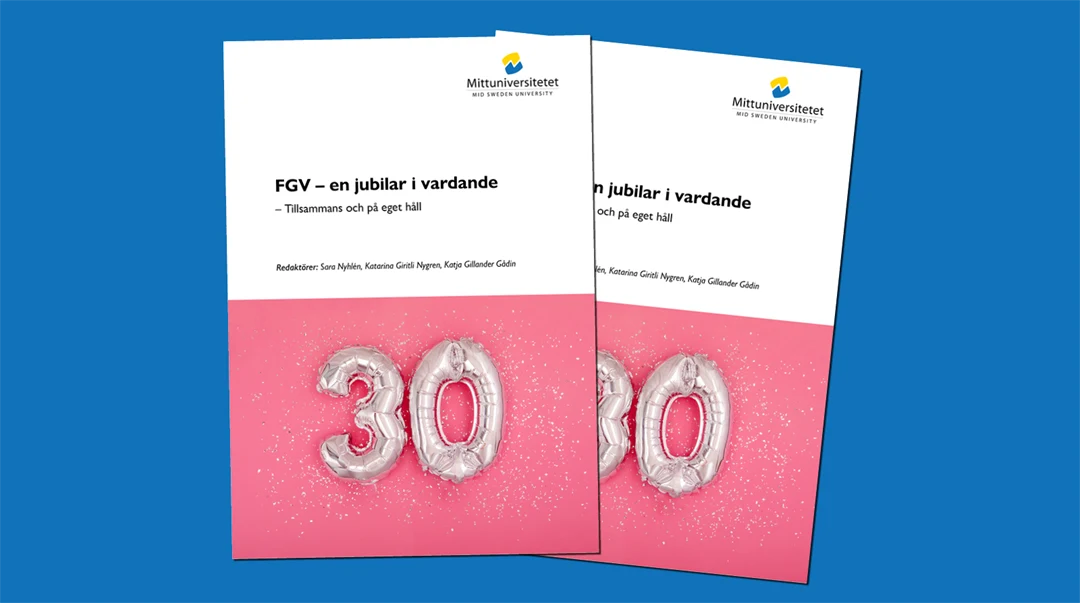 Bild på omslaget till FGVs 30års-antologi