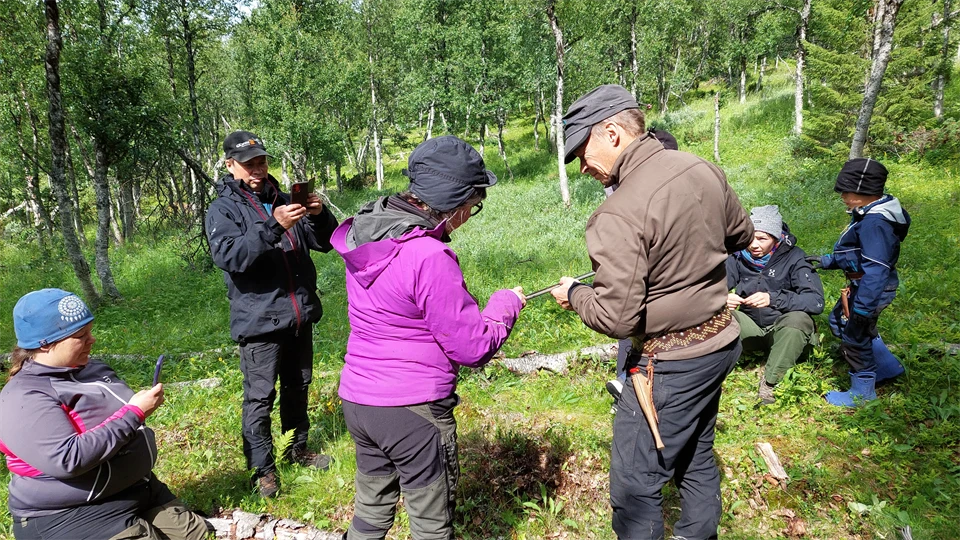 Två personer studerar ett jordprov i en jordsond i en fjällbjörkskog. Fyra personer ser på. 