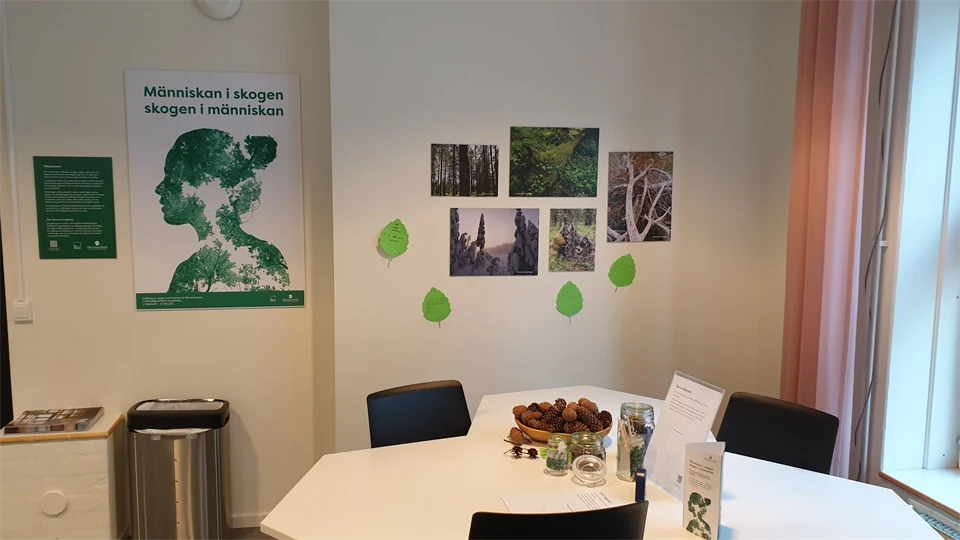 Aktiviteter i tidskriftsloungen, utställningsbygget